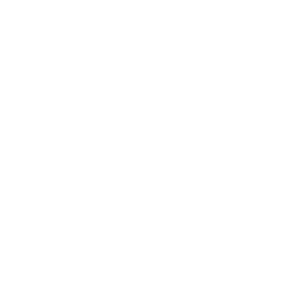 WVD LogoBuildout 05 300x300 
